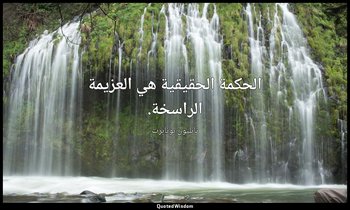 الحكمة الحقيقية هي العزيمة الراسخة. — نابليون بونابرت