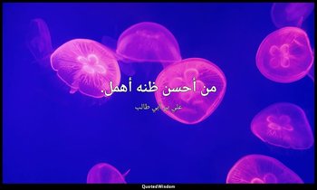 من أحسن ظنه أهمل. — علي بن أبي طالب