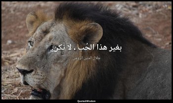 بغير هذا الحُب ، لا تكن. — جلال الدين الرومي