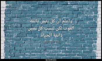 واعلم أن كلُ نفسٍ ذائقةٌ الموت لكن ليست كل نفسٍ ذائقةٌ الحياة. — جلال الدين الرومي