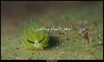 أشعر بالسأم وبالحزن : — ميخائيل ليرمنتوف