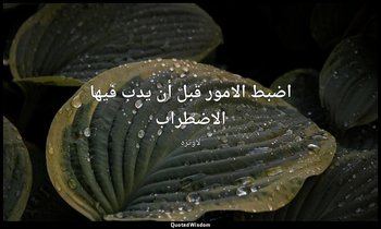 اضبط الامور قبل أن يدب فيها الاضطراب — لاوتزه
