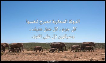 الدولة المحاربة تصرح لنفسها كل جرم ، كل عمل عنيف ، وسيكون ذل على الفرد. — سيغموند فرويد
