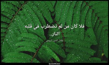 فلا كان من لم تضطرب في قلبه النار.. — جلال الدين الرومي