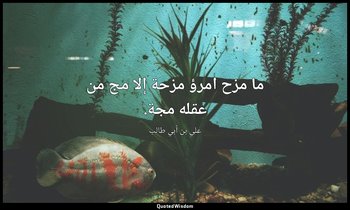 ما مزح امرؤ مزحة إلا مج من عقله مجة. — علي بن أبي طالب