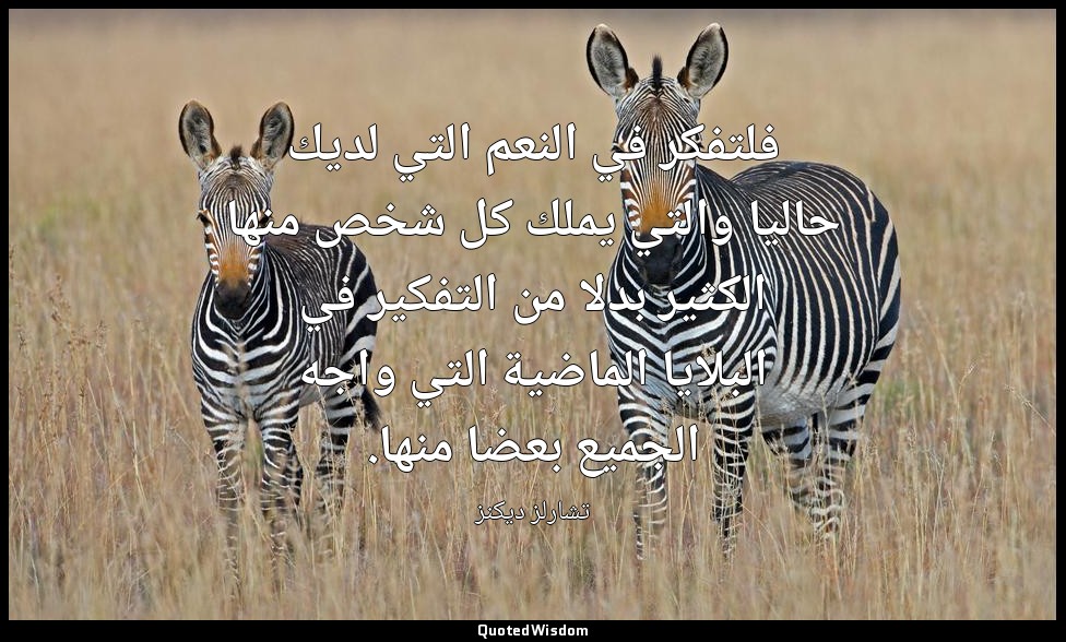 فلتفكر في النعم التي لديك حاليا والتي يملك كل شخص منها الكثير بدلا من التفكير في — تشارلز ديكنز