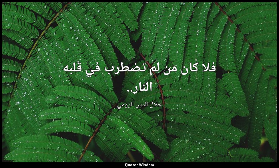 فلا كان من لم تضطرب في قلبه النار.. — جلال الدين الرومي