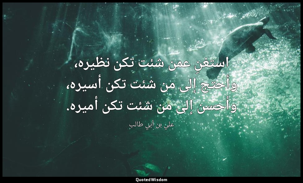 استغنِ عمن شئت تكن نظيره، وأحتج إلى من شئت تكن أسيره، وأحسن إلى من شئت تكن أميره — علي بن أبي طالب