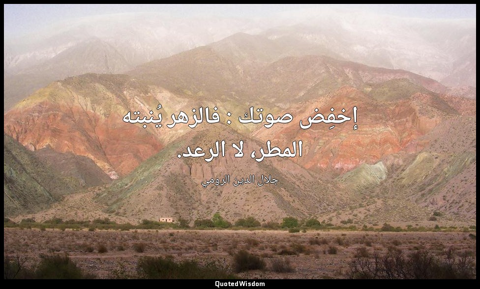 إخفِض صوتك : فالزهر يُنبته المطر، لا الرعد. — جلال الدين الرومي