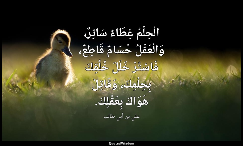 الْحِلْمُ غِطَاءٌ سَاتِرٌ، وَالْعَقْلُ حُسَامٌ قَاطِعٌ، فَاسْتُرْ خَلَلَ خُلُقِك — علي بن أبي طالب