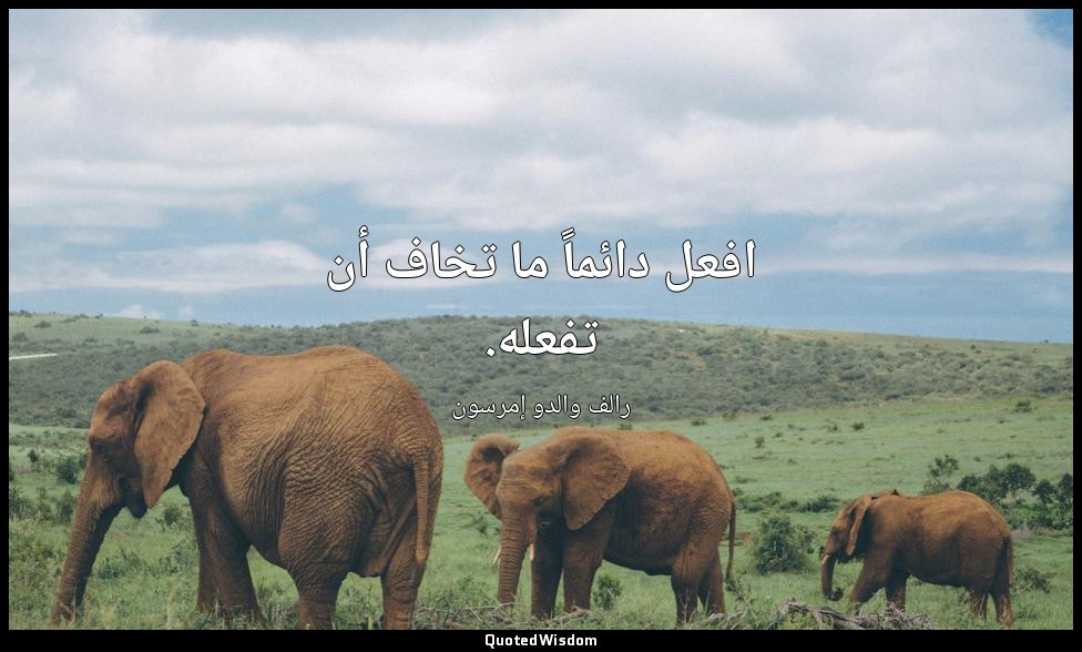 افعل دائماً ما تخاف أن تفعله. — رالف والدو إمرسون