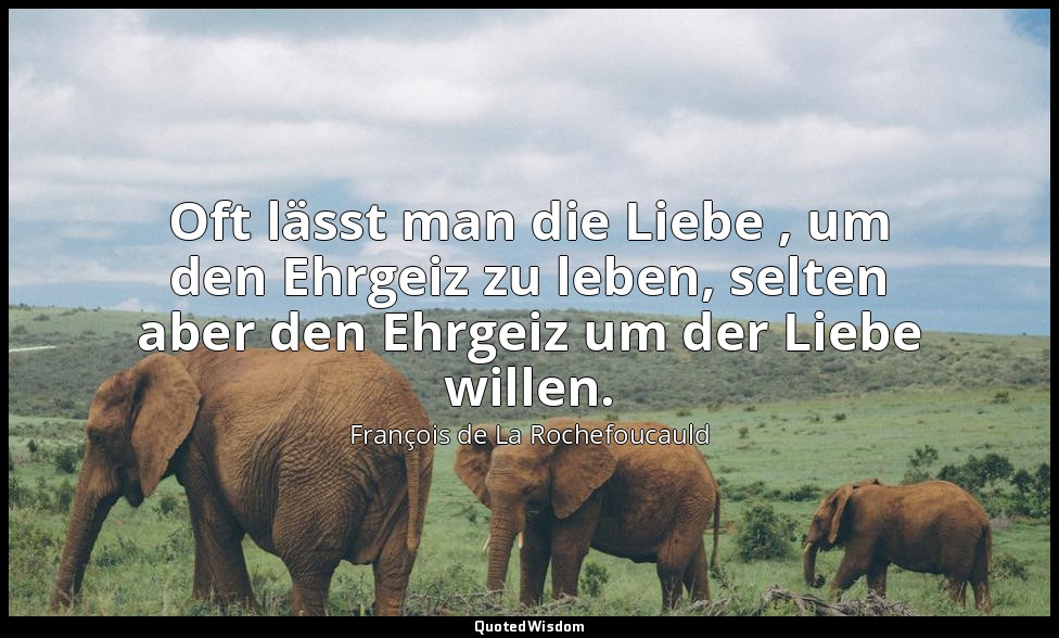 Oft lässt man die Liebe , um den Ehrgeiz zu leben, selten aber den Ehrgeiz um de — François de La Rochefoucauld