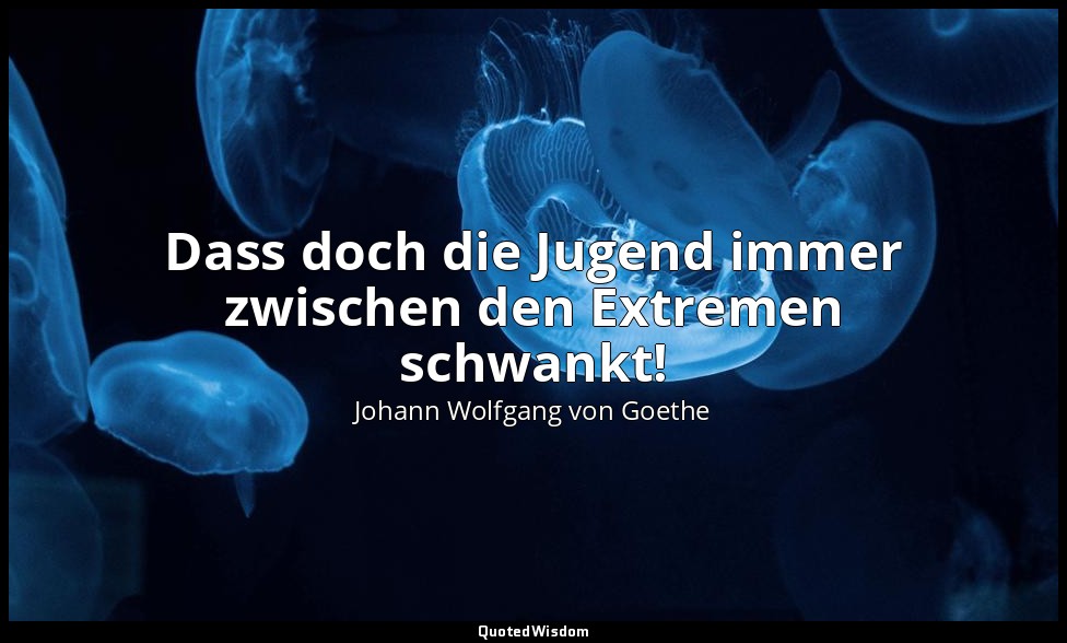 "Dass doch die Jugend immer zwischen den Extremen schwankt!" – Wilhelm Meisters  — Johann Wolfgang von Goethe