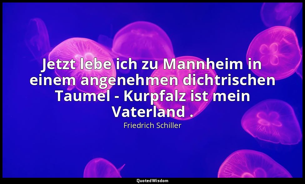 "Jetzt lebe ich zu Mannheim in einem angenehmen dichtrischen Taumel - Kurpfalz i — Friedrich Schiller