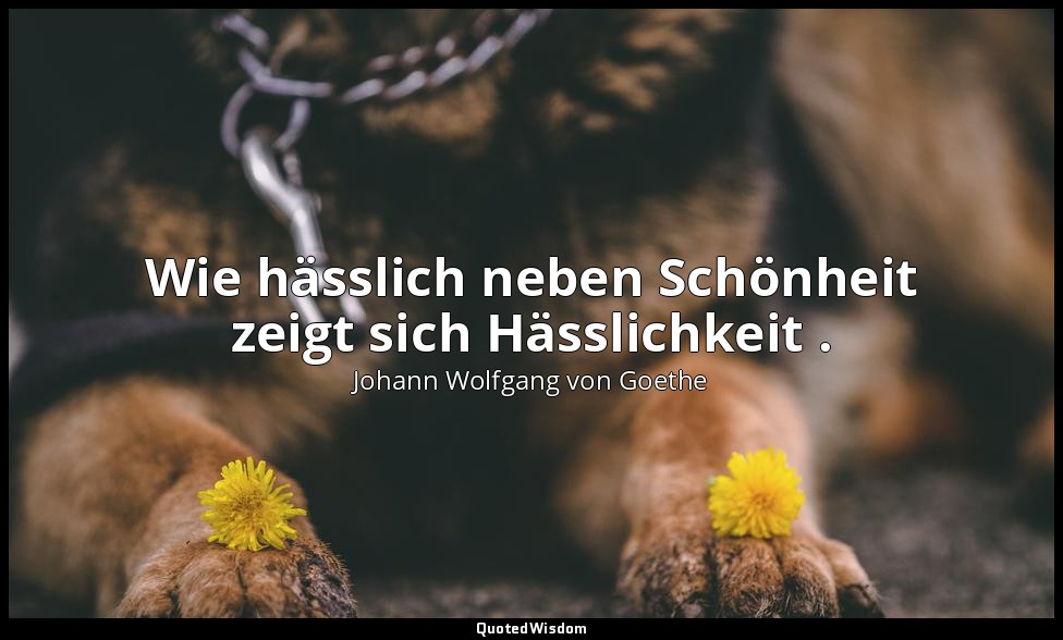 "Wie hässlich neben Schönheit zeigt sich Hässlichkeit ." – Faust II, Vers 8810 / — Johann Wolfgang von Goethe