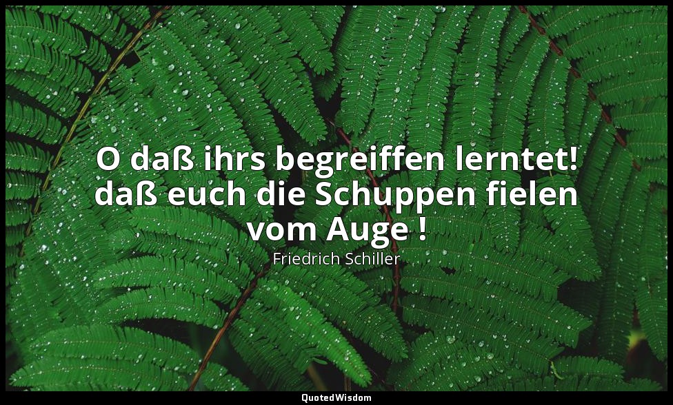 "O daß ihrs begreiffen lerntet! daß euch die Schuppen fielen vom Auge !" - Die R — Friedrich Schiller