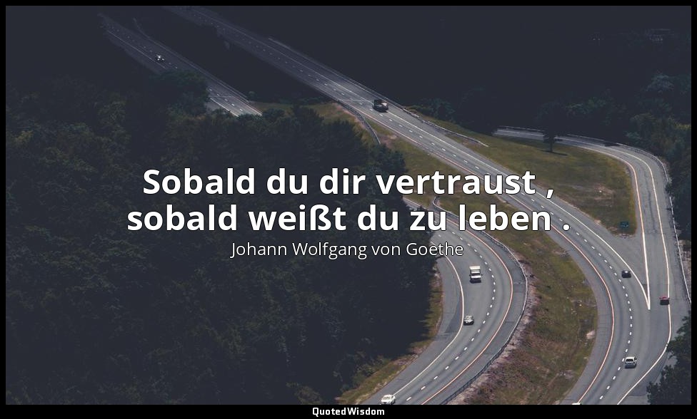 "Sobald du dir vertraust , sobald weißt du zu leben ." – Faust I, Vers 2062 / Me — Johann Wolfgang von Goethe