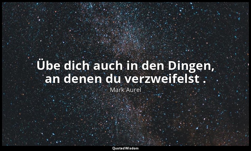 " Übe dich auch in den Dingen, an denen du verzweifelst ." - Selbstbetrachtungen — Mark Aurel