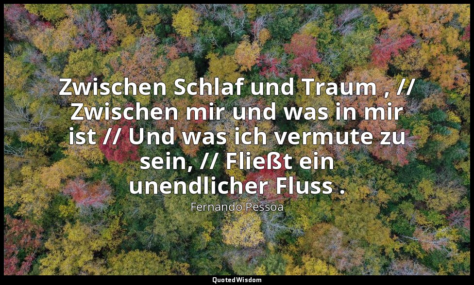 "Zwischen Schlaf und Traum , // Zwischen mir und was in mir ist // Und was ich v — Fernando Pessoa