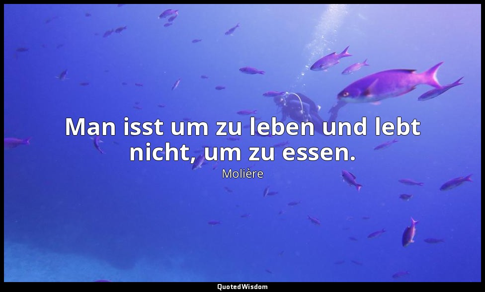 Man isst um zu leben und lebt nicht, um zu essen. — Molière