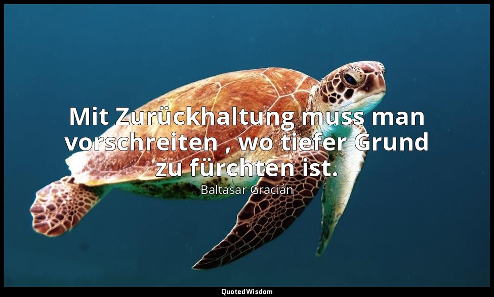 Mit Zurückhaltung muss man vorschreiten , wo tiefer Grund zu fürchten ist. — Baltasar Gracián