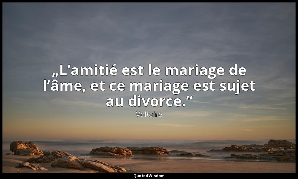 „L’amitié est le mariage de l’âme, et ce mariage est sujet au divorce.“ — Voltaire