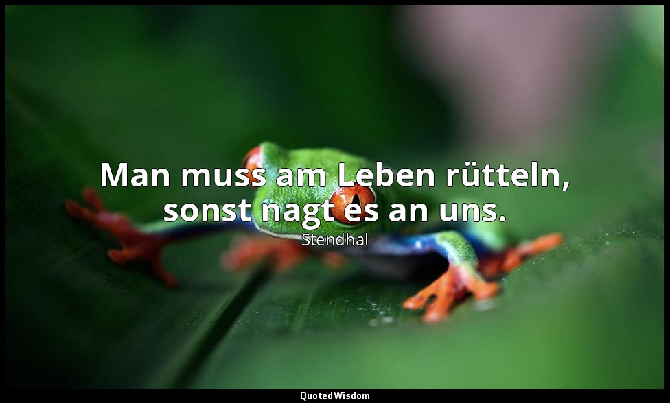 Man muss am Leben rütteln, sonst nagt es an uns. — Stendhal