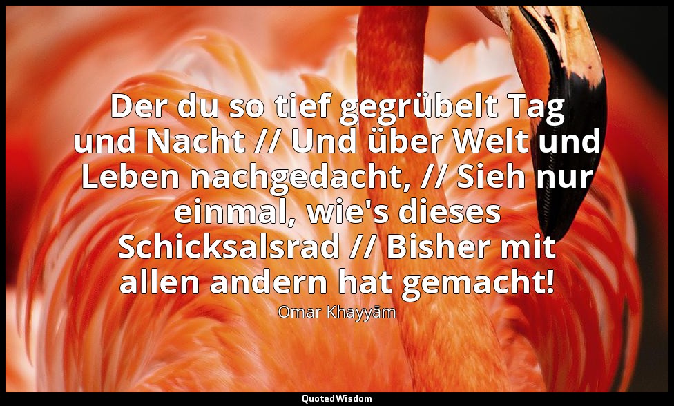 Der du so tief gegrübelt Tag und Nacht // Und über Welt und Leben nachgedacht, / — Omar Khayyām