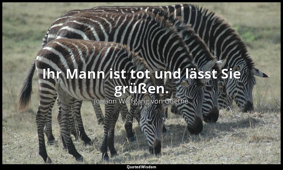"Ihr Mann ist tot und lässt Sie grüßen." – Faust I, Vers 2916 / Mephistopheles — Johann Wolfgang von Goethe