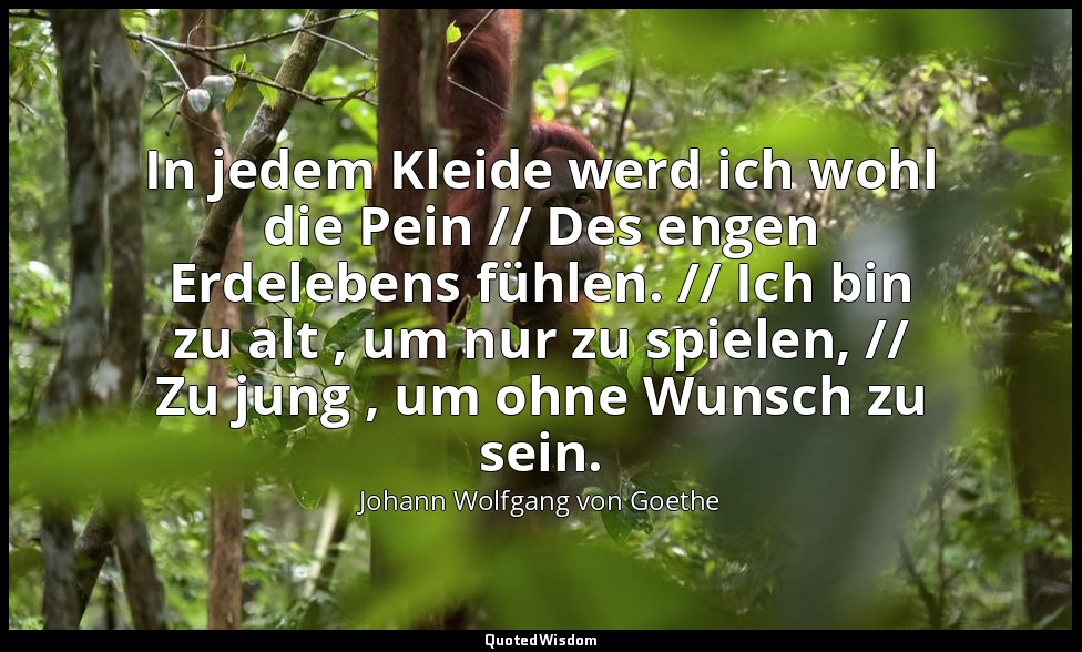 "In jedem Kleide werd ich wohl die Pein // Des engen Erdelebens fühlen. // Ich b — Johann Wolfgang von Goethe