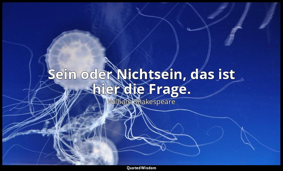 "Sein oder Nichtsein, das ist hier die Frage." - 3. Akt, 1. Szene / Hamlet — William Shakespeare