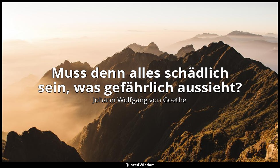 "Muss denn alles schädlich sein, was gefährlich aussieht?" – Wilhelm Meisters Le — Johann Wolfgang von Goethe