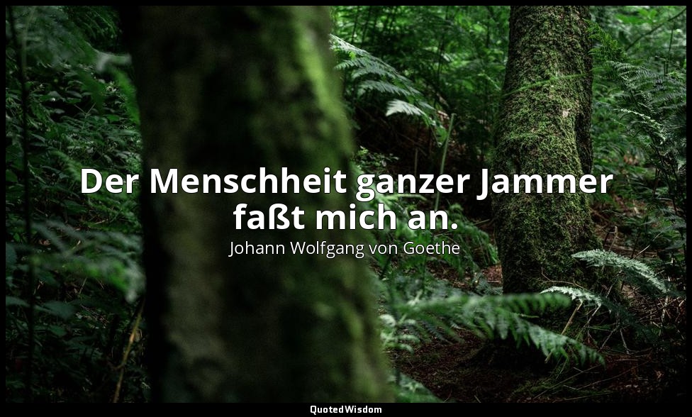 "Der Menschheit ganzer Jammer faßt mich an." – Faust I, Vers 4406 / Faust — Johann Wolfgang von Goethe