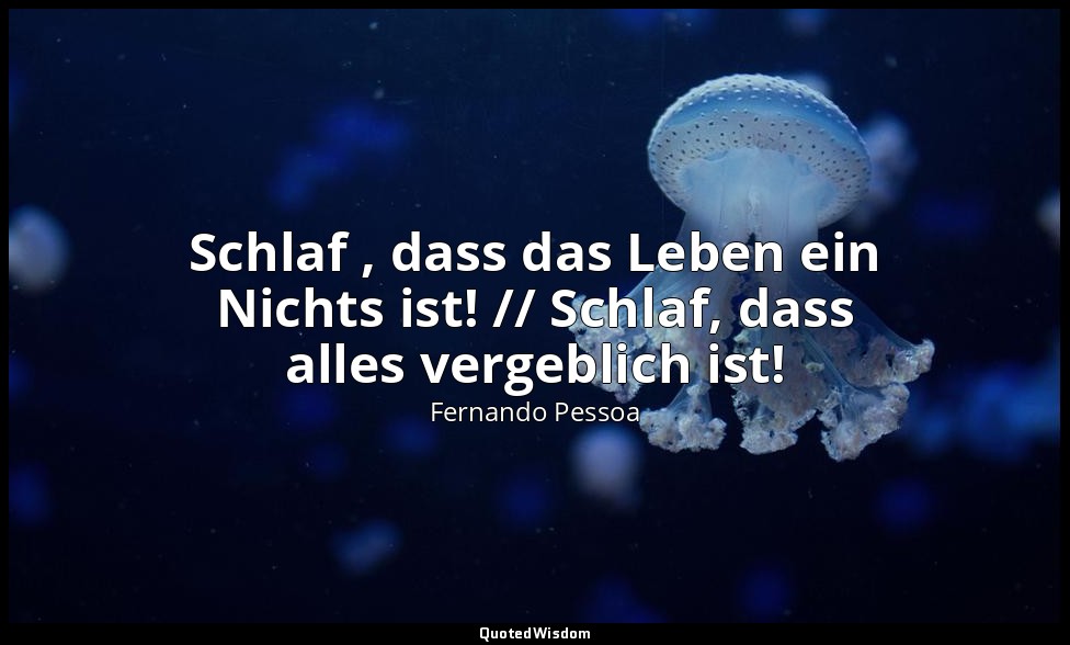 " Schlaf , dass das Leben ein Nichts ist! // Schlaf, dass alles vergeblich ist!" — Fernando Pessoa