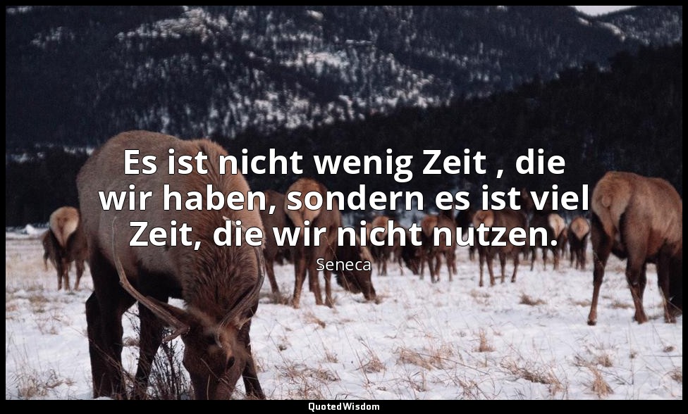 "Es ist nicht wenig Zeit , die wir haben, sondern es ist viel Zeit, die wir nich — Seneca