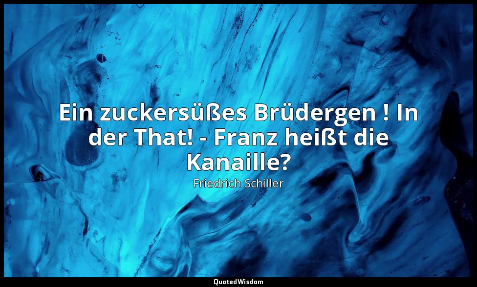 "Ein zuckersüßes Brüdergen ! In der That! - Franz heißt die Kanaille?" - Die Räu — Friedrich Schiller