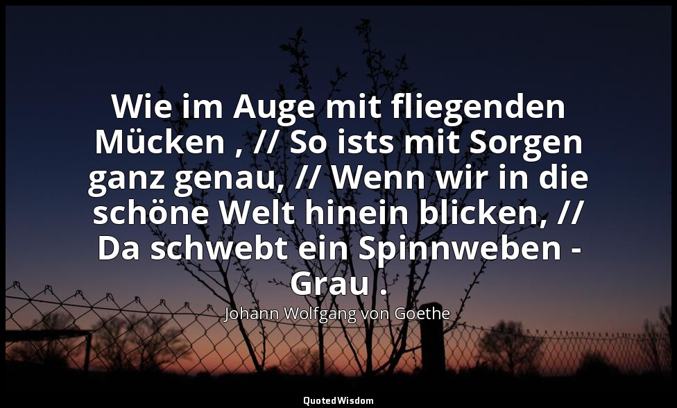 "Wie im Auge mit fliegenden Mücken , // So ists mit Sorgen ganz genau, // Wenn w — Johann Wolfgang von Goethe