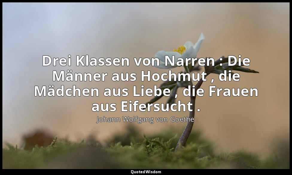 "Drei Klassen von Narren : Die Männer aus Hochmut , die Mädchen aus Liebe , die  — Johann Wolfgang von Goethe
