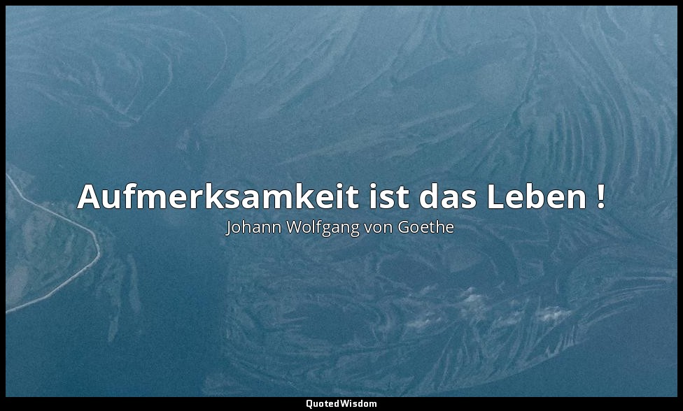 " Aufmerksamkeit ist das Leben !" – Wilhelm Meisters Wanderjahre — Johann Wolfgang von Goethe
