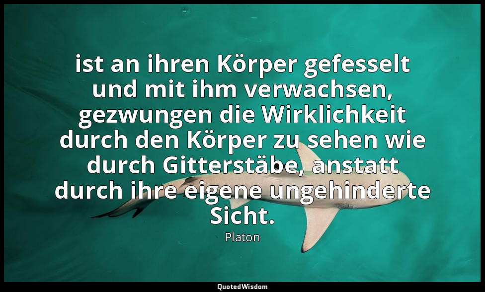 " ist an ihren Körper gefesselt und mit ihm verwachsen, gezwungen die Wirklichke — Platon