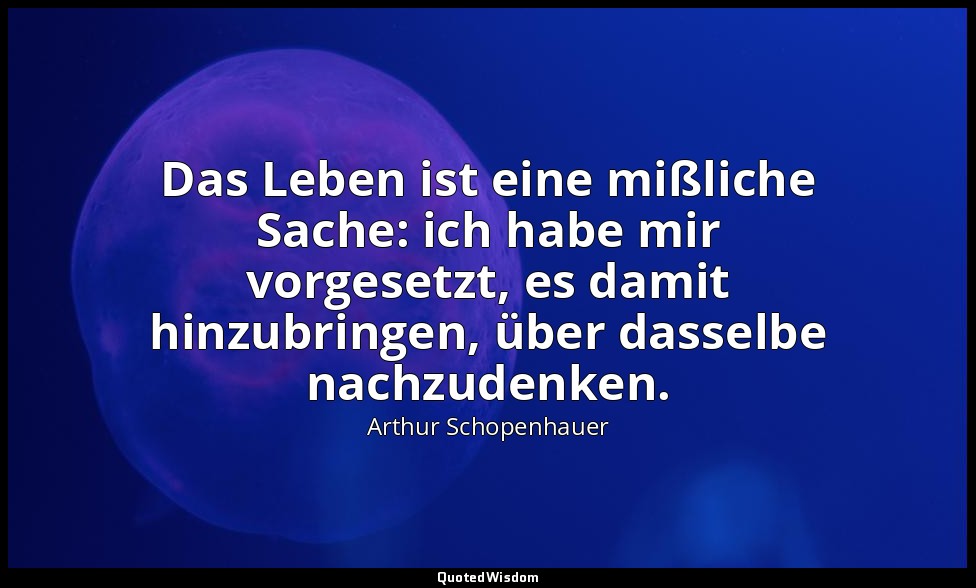 "Das Leben ist eine mißliche Sache: ich habe mir vorgesetzt, es damit hinzubring — Arthur Schopenhauer