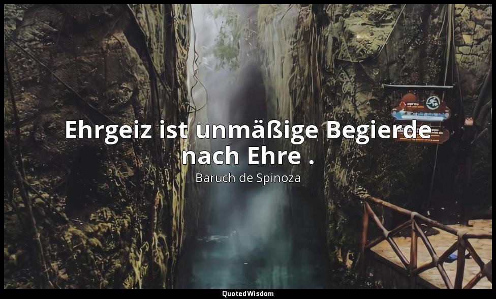 Ehrgeiz ist unmäßige Begierde nach Ehre . — Baruch de Spinoza