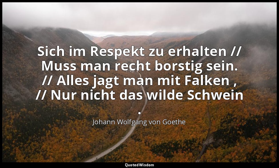 "Sich im Respekt zu erhalten // Muss man recht borstig sein. // Alles jagt man m — Johann Wolfgang von Goethe