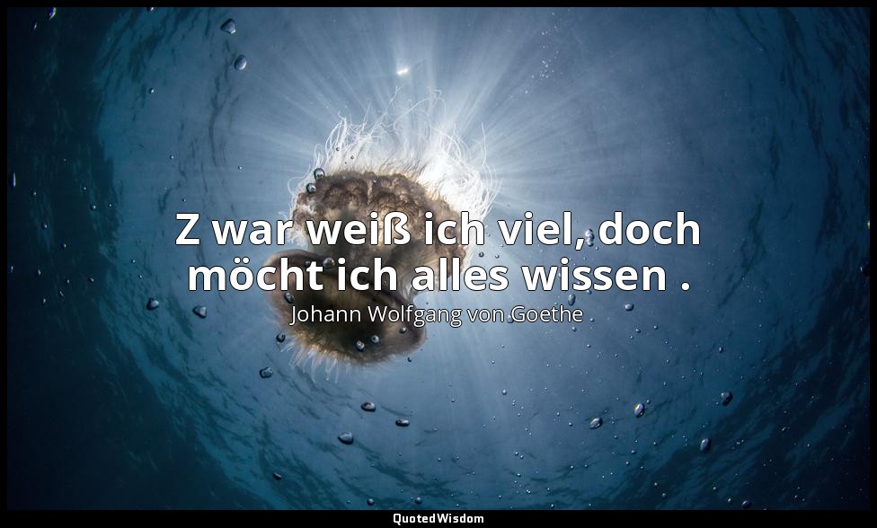 " Z war weiß ich viel, doch möcht ich alles wissen ." – Faust I, Vers 601 / Wagn — Johann Wolfgang von Goethe