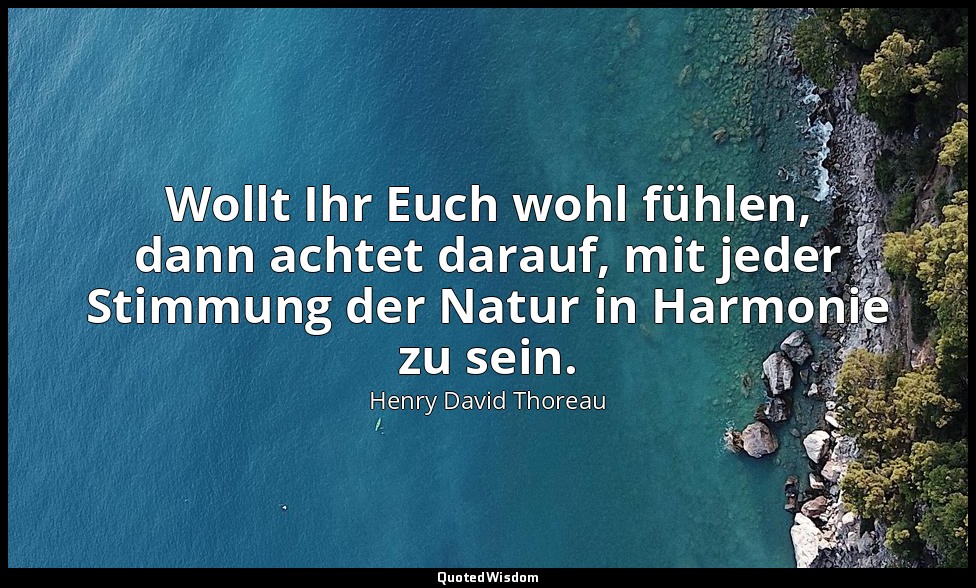Wollt Ihr Euch wohl fühlen, dann achtet darauf, mit jeder Stimmung der Natur in  — Henry David Thoreau