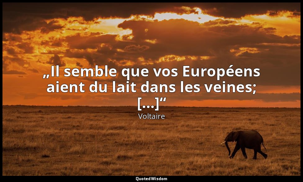 „Il semble que vos Européens aient du lait dans les veines; […]“ — Voltaire