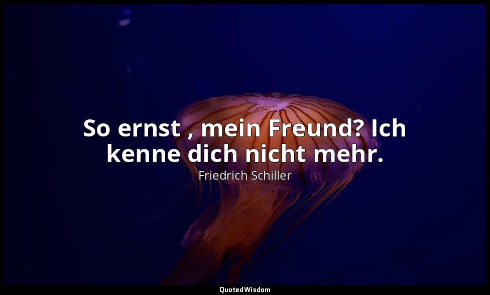 "So ernst , mein Freund? Ich kenne dich nicht mehr." - Wilhelm Tell, I , 2 / Ger — Friedrich Schiller