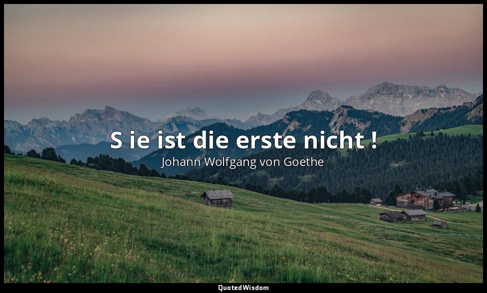 " S ie ist die erste nicht !" – Faust I, Trüber Tag. Feld, / Mephistopheles — Johann Wolfgang von Goethe