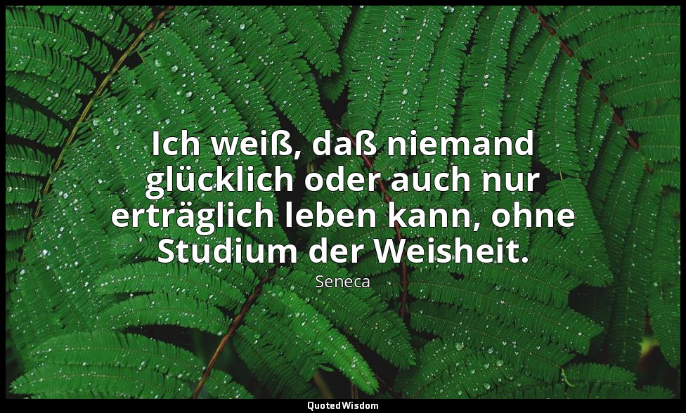 "Ich weiß, daß niemand glücklich oder auch nur erträglich leben kann, ohne Studi — Seneca