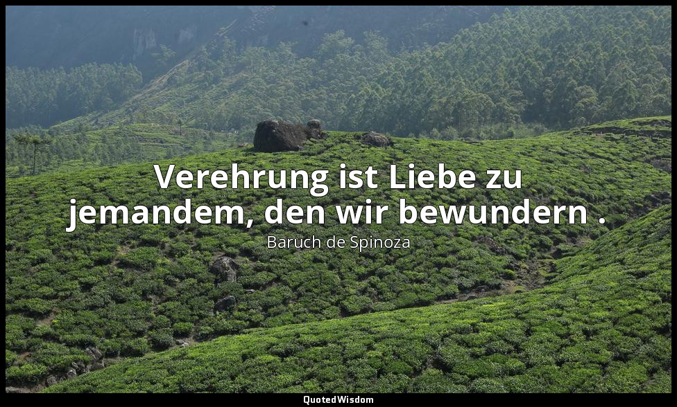 Verehrung ist Liebe zu jemandem, den wir bewundern . — Baruch de Spinoza